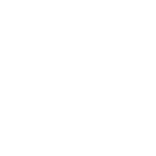 icon02-06